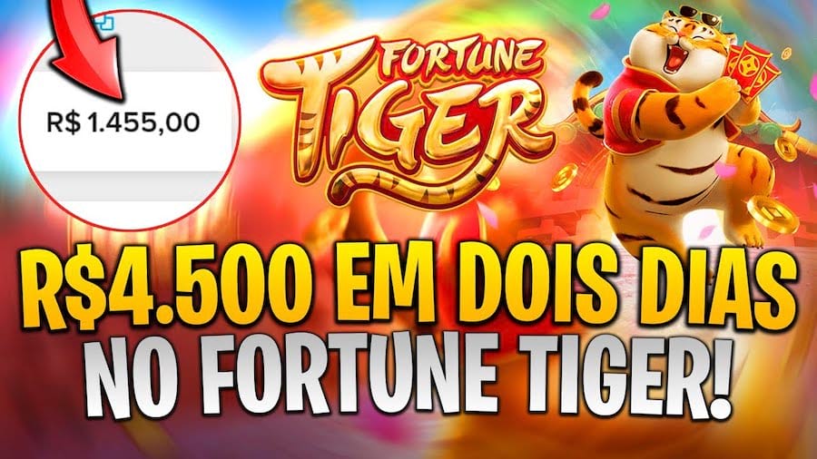 tiger777 bet