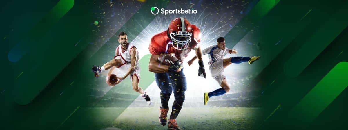 online cricket betting software