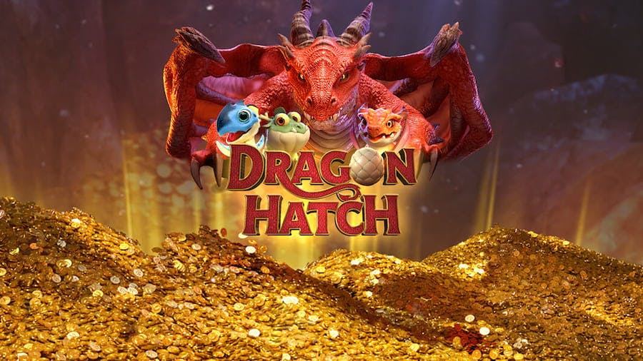 6666bet com